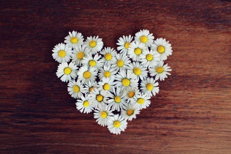 Heart symbol